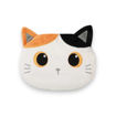 Picture of HEATABLE PILLOW ORANGE CAT